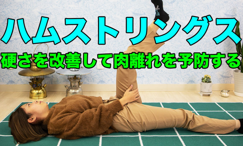 ハムストリングスの硬さを改善して肉離れを予防する 姫路市の橋本接骨院